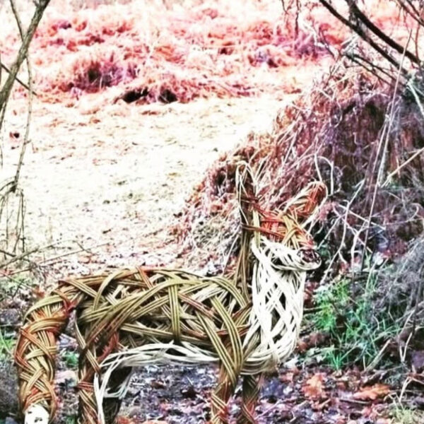 SOLD OUT Willow Workshop pick from 3 different sculptures With Twigs & Sprigs Sunday 1st November 2026